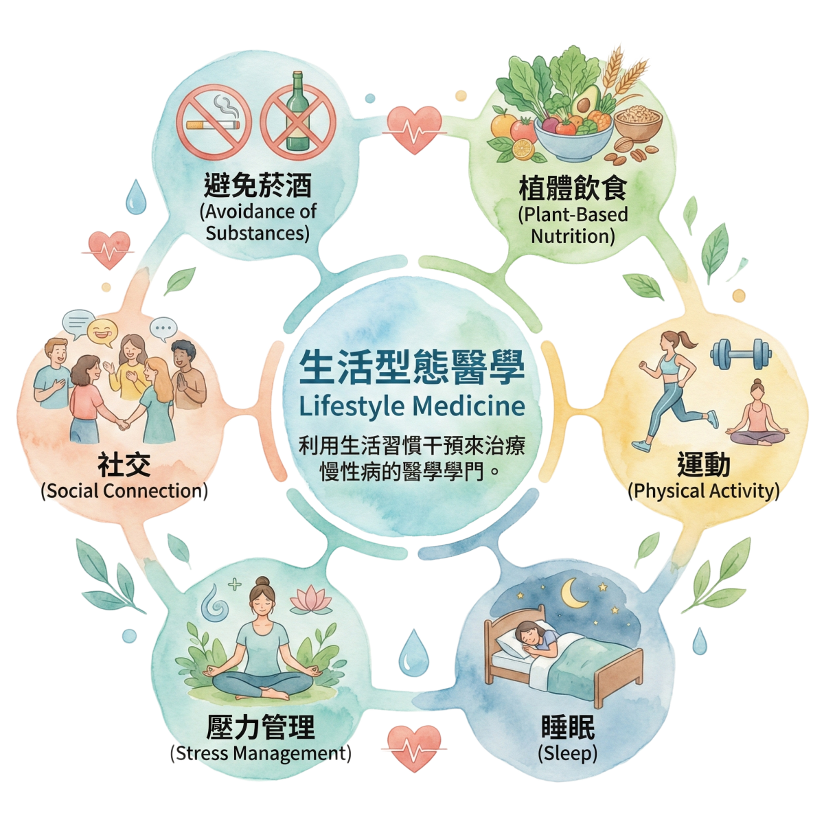 生活型態醫學的六大支柱