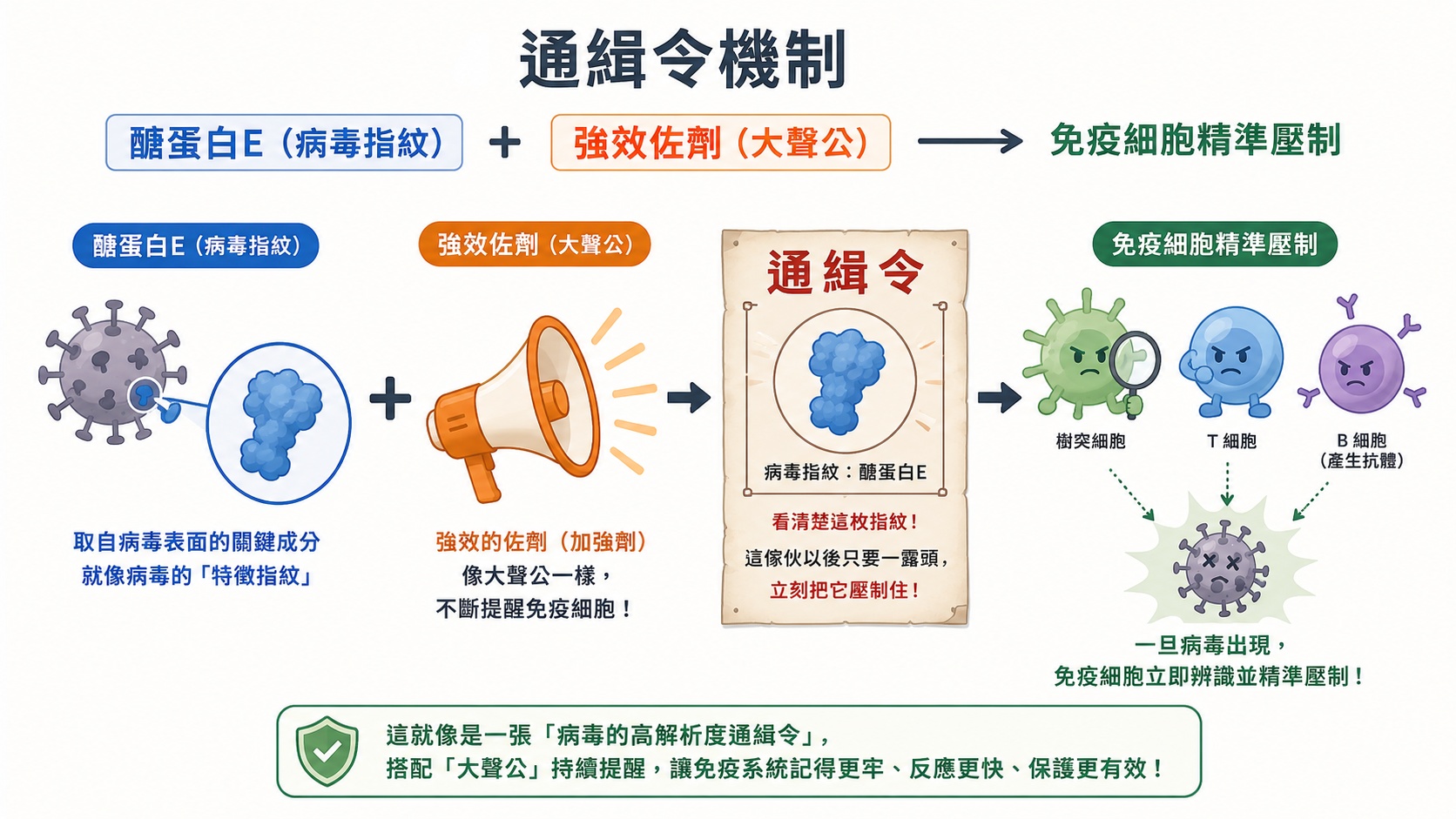 帶狀疱疹疫苗痛氣令機制